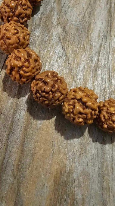 Bracelet en Rudraksha Naturel