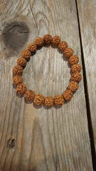 Bracelet en Rudraksha Naturel